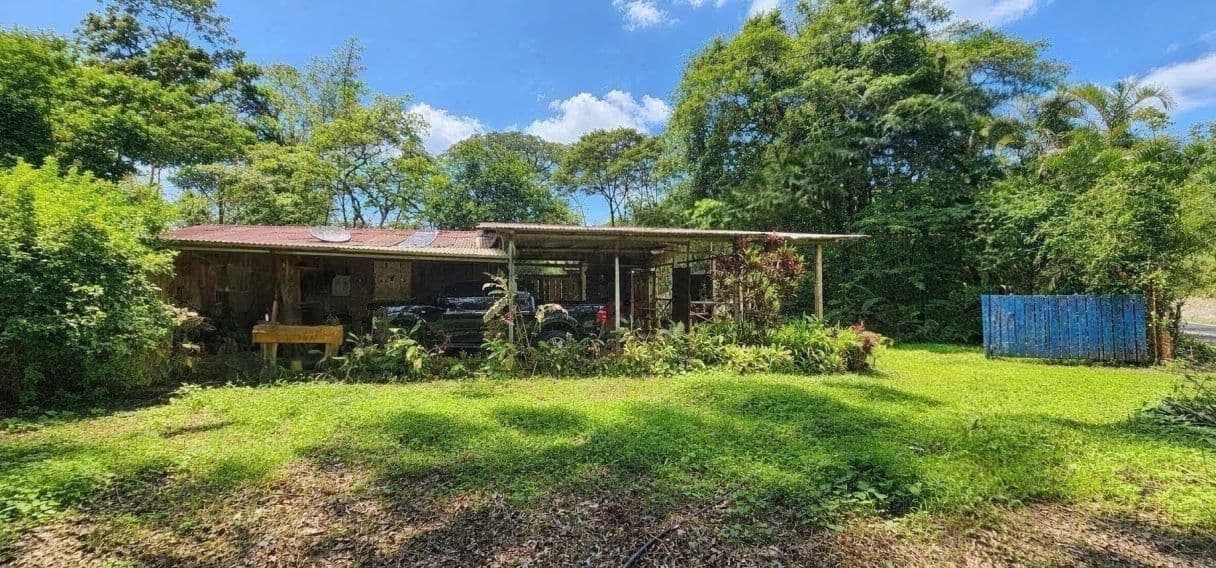 A Rare Tourism Opportunity on Costa Rica’s National Route 702, photo 4