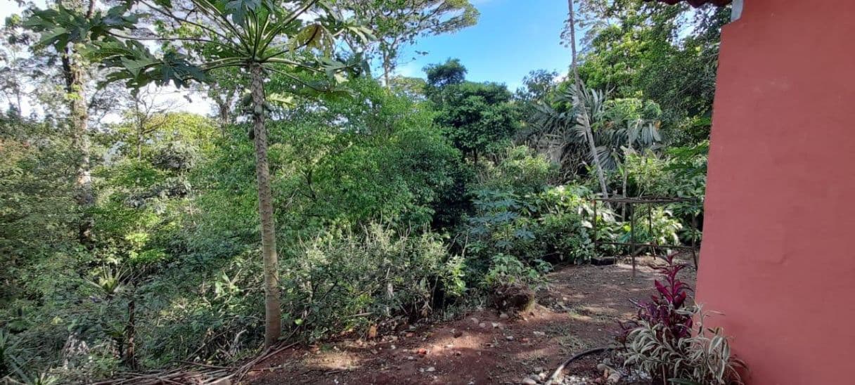 A Rare Tourism Opportunity on Costa Rica’s National Route 702, photo 12