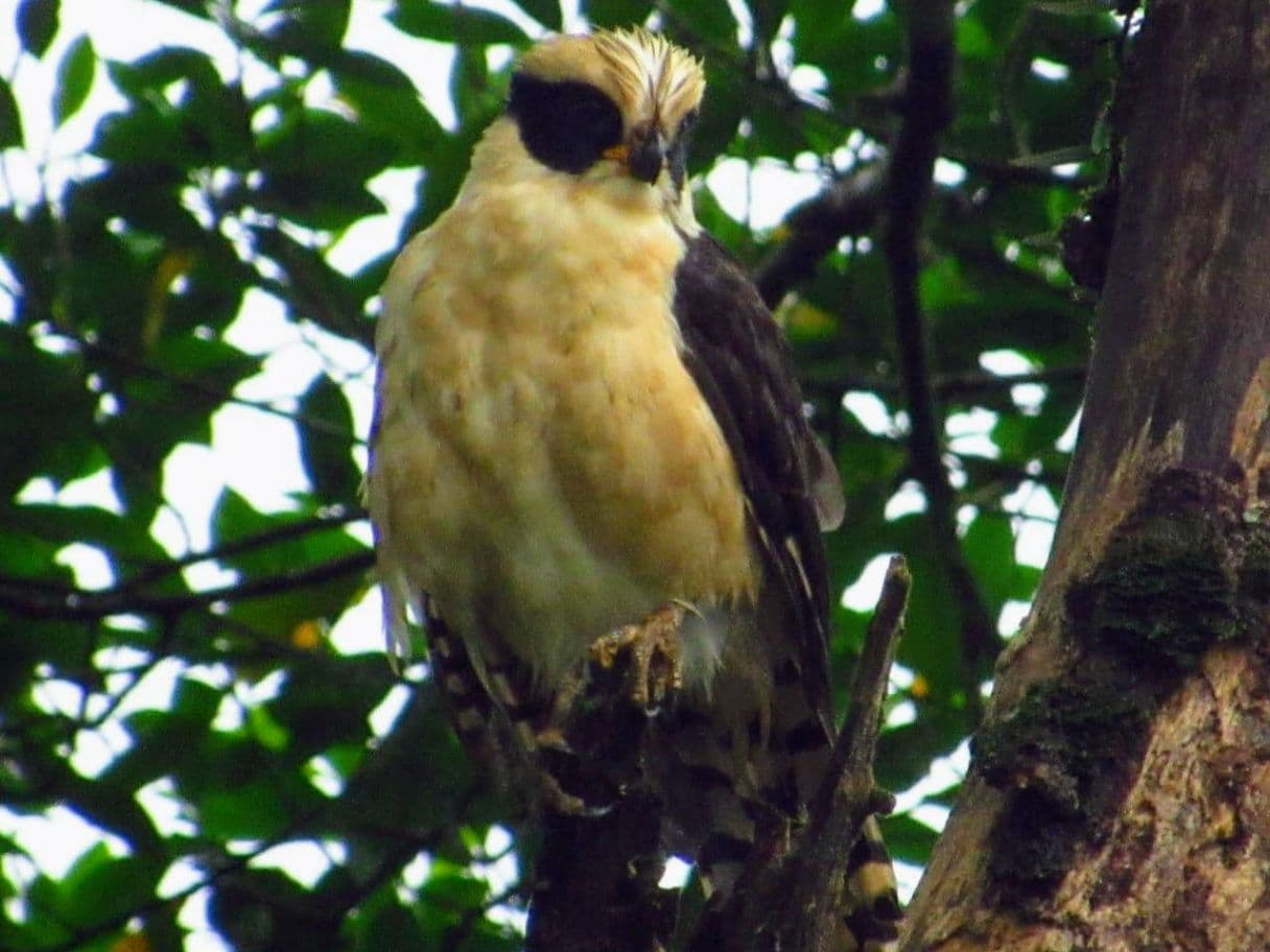 A Rare Tourism Opportunity on Costa Rica’s National Route 702, photo 20