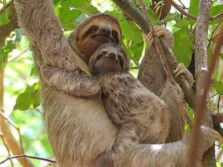 A Rare Tourism Opportunity on Costa Rica’s National Route 702, photo 17
