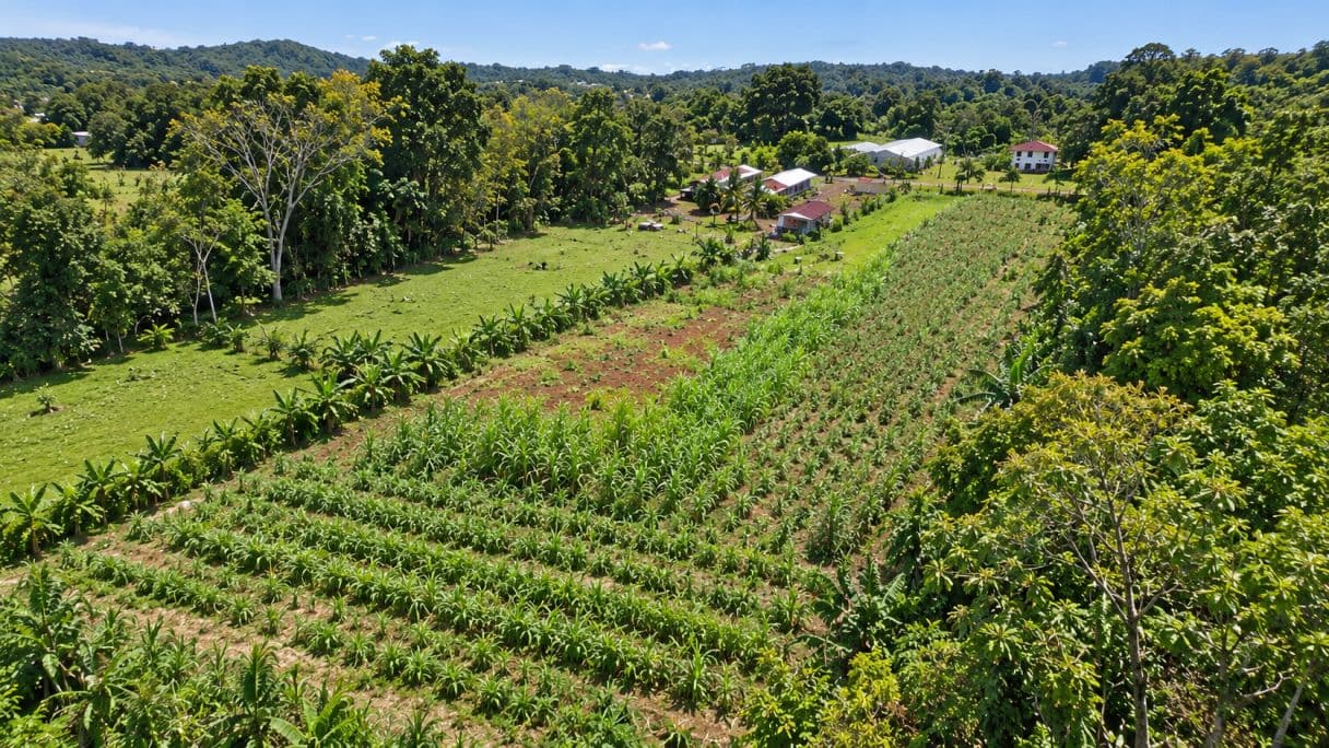 Prime Buildable Land for sale in Chachagua – 6,988 m², photo 5