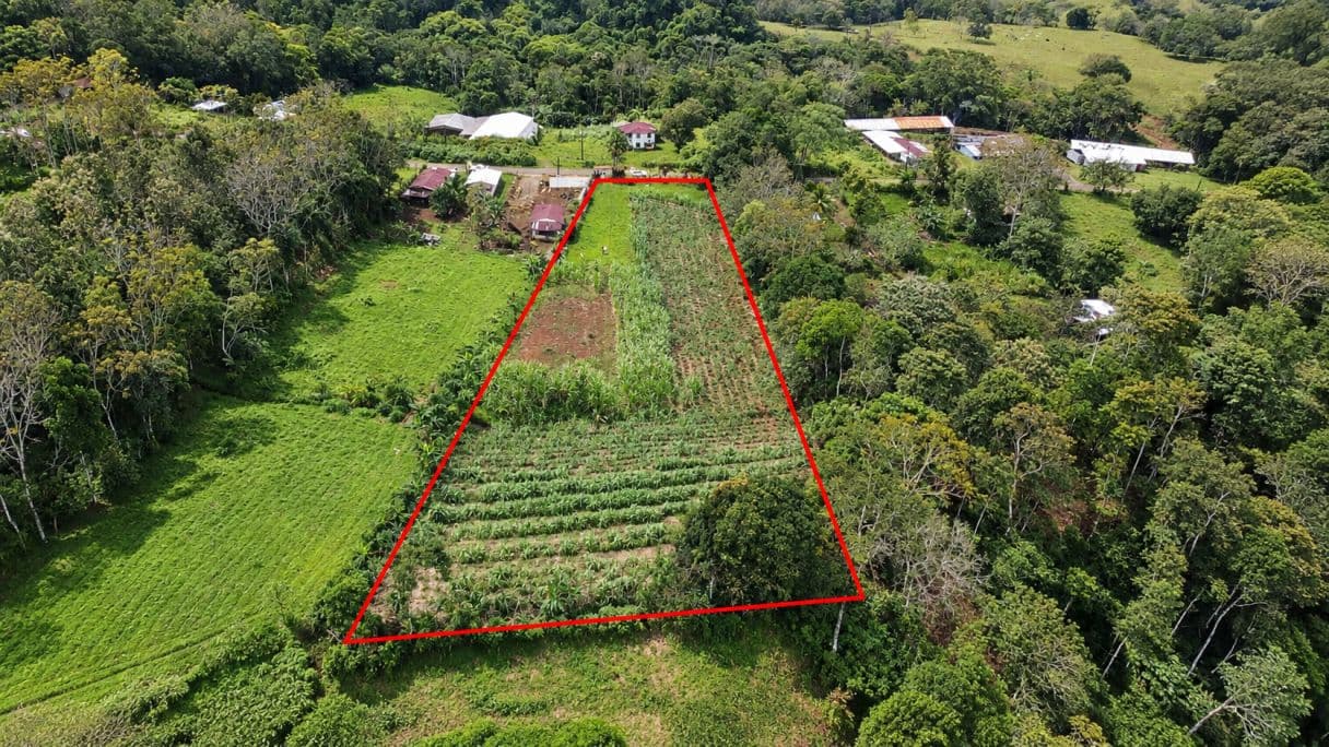 Prime Buildable Land for sale in Chachagua – 6,988 m²
