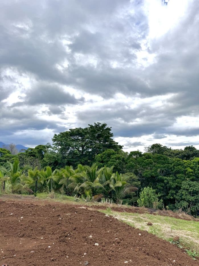 Property with Creek, Panoramic Views and Residential Potential near La Fortuna – 6,395 m², photo 23