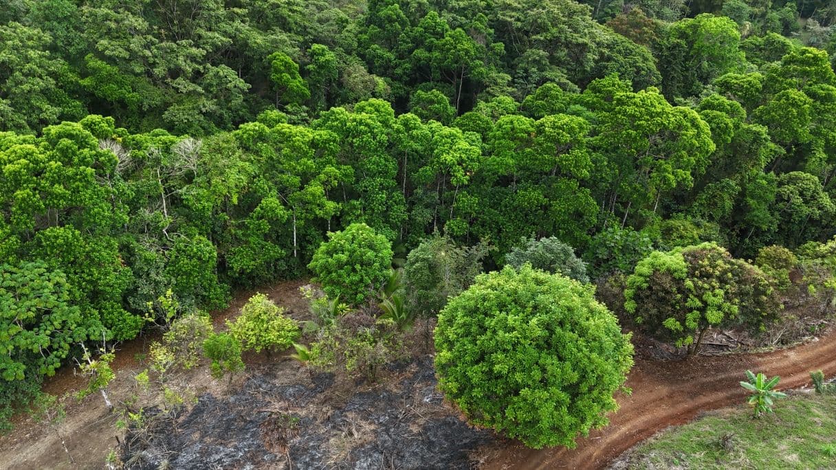 Property with Creek, Panoramic Views and Residential Potential near La Fortuna – 6,395 m², photo 7