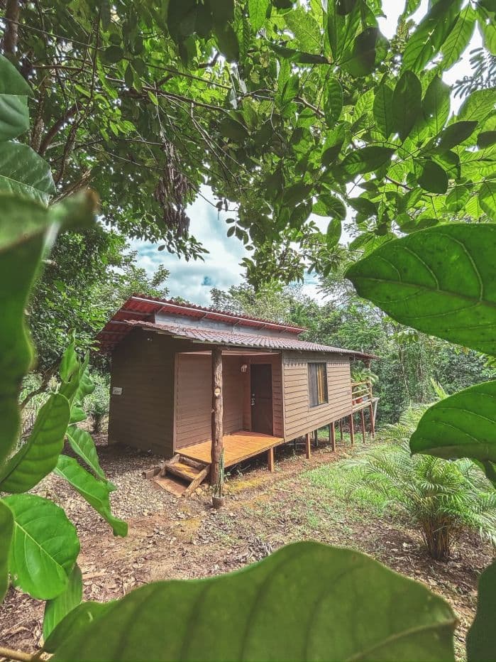 Property with 4 Cabins, Main House, Pool & 6,569 m² for Sale in La Tigra, San Carlos – 30 Minutes from La Fortuna, photo 7