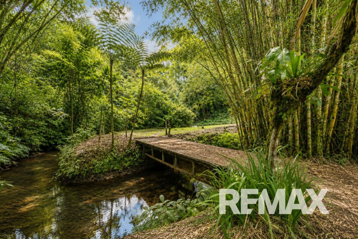 Private 15-Acre Lake Arenal Estate Backing onto Nature Reserve, photo 32