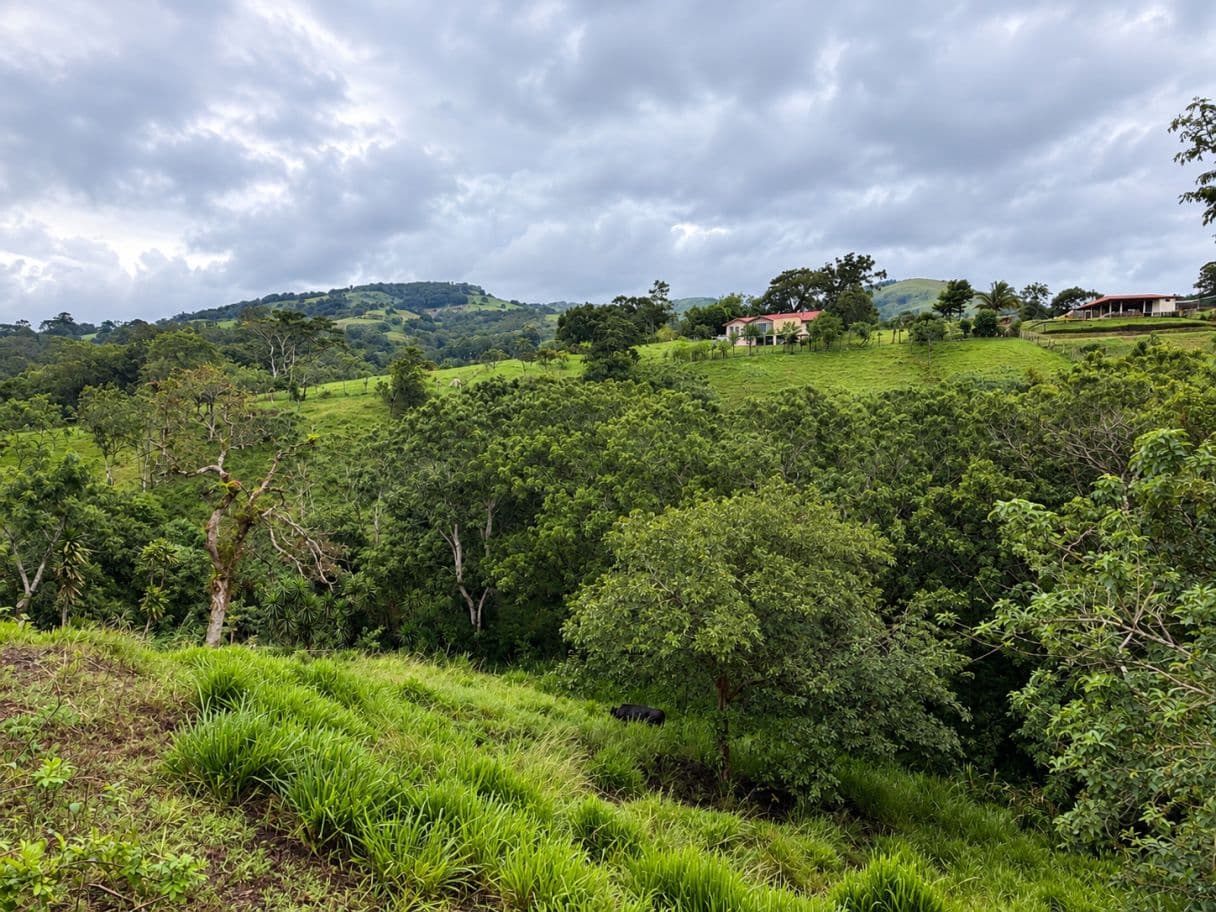 A Traditional Costa Rican Home with Character in Tronadora, photo 19