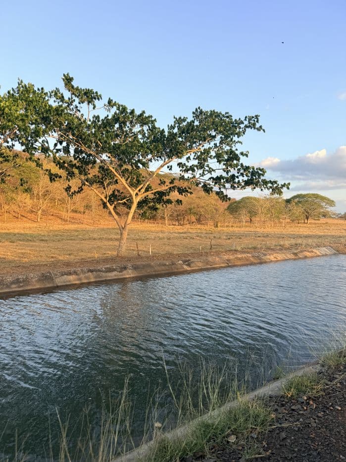 Agricultural Land for Sale in Abangares, Guanacaste – 8 Hectares, photo 9
