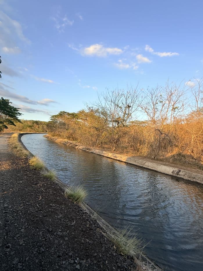 Agricultural Land for Sale in Abangares, Guanacaste – 8 Hectares, photo 14