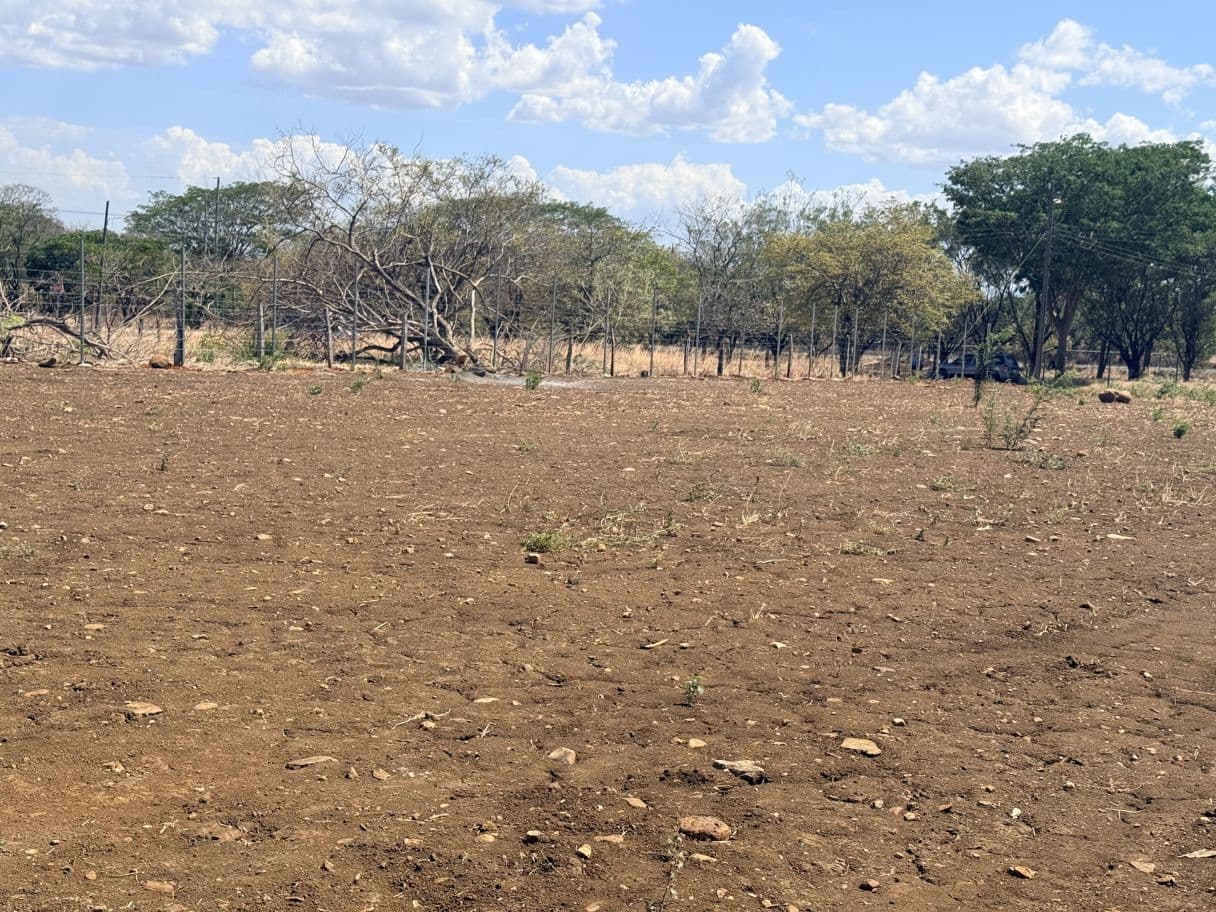 Lot for Sale in front of Private School, located in Cañas, Guanacaste., photo 14