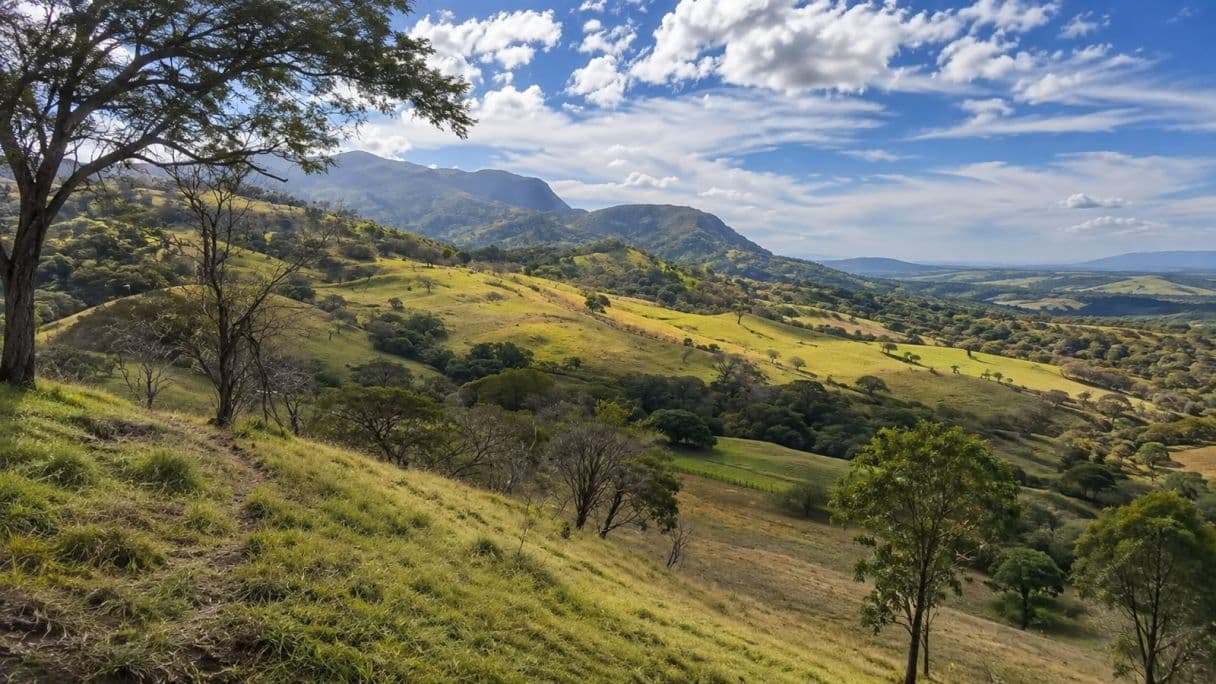 166-Hectare Cattle Ranch with Abundant Water and Complete Infrastructure in Cañas, Guanacaste – Investment Opportunity, photo 5