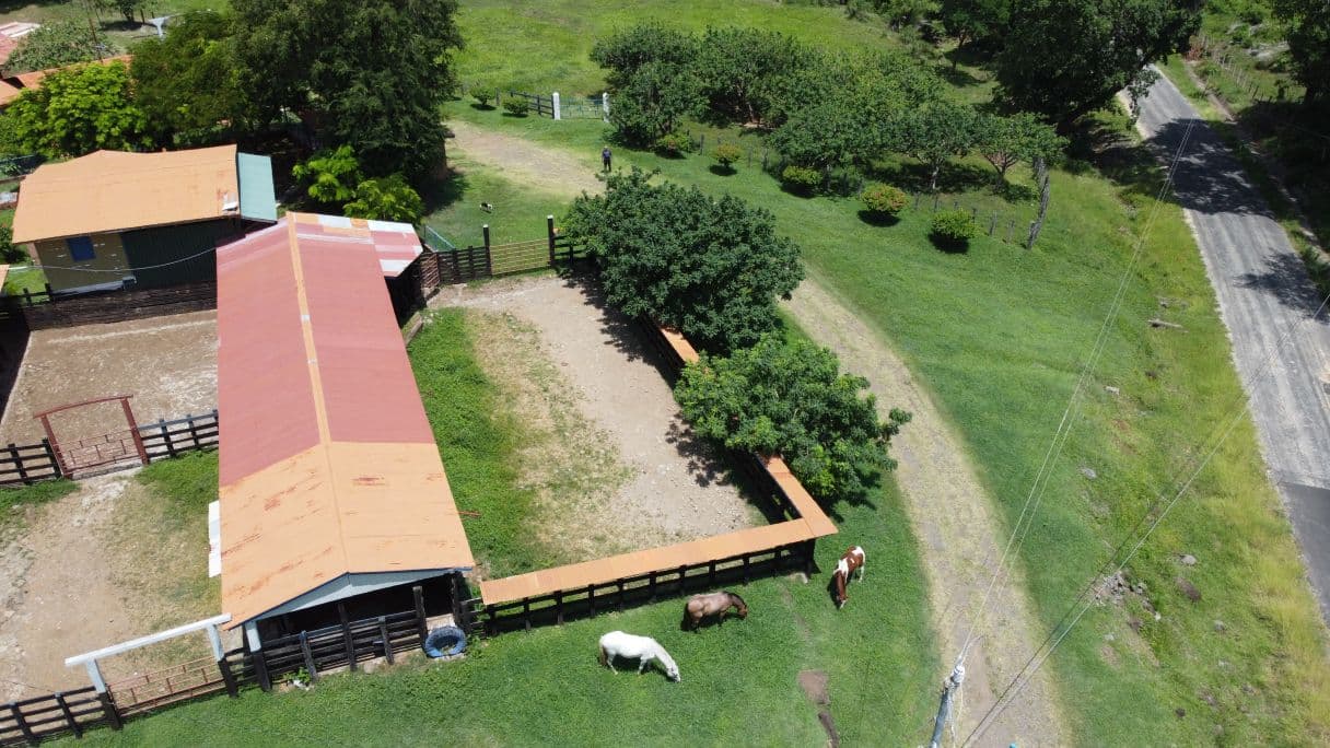 166-Hectare Cattle Ranch with Abundant Water and Complete Infrastructure in Cañas, Guanacaste – Investment Opportunity, photo 16