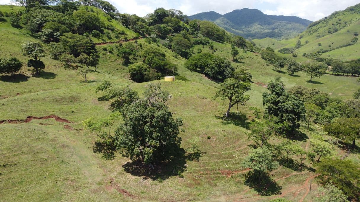166-Hectare Cattle Ranch with Abundant Water and Complete Infrastructure in Cañas, Guanacaste – Investment Opportunity, photo 11