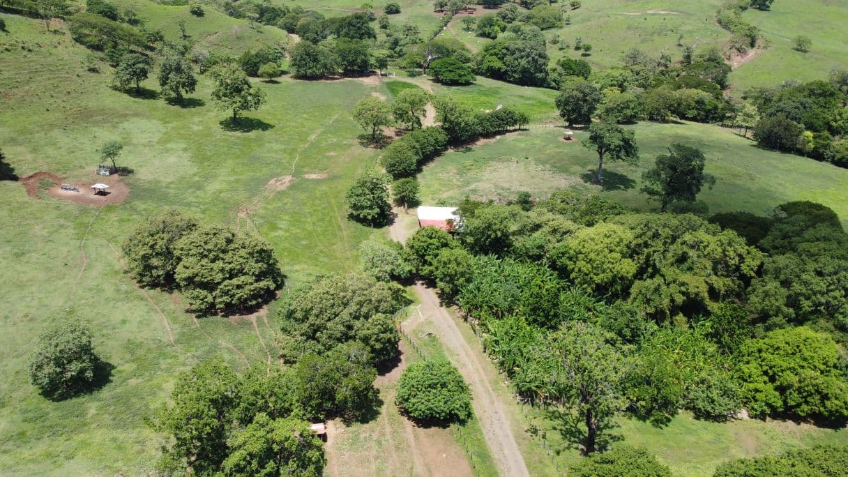 166-Hectare Cattle Ranch with Abundant Water and Complete Infrastructure in Cañas, Guanacaste – Investment Opportunity, photo 20