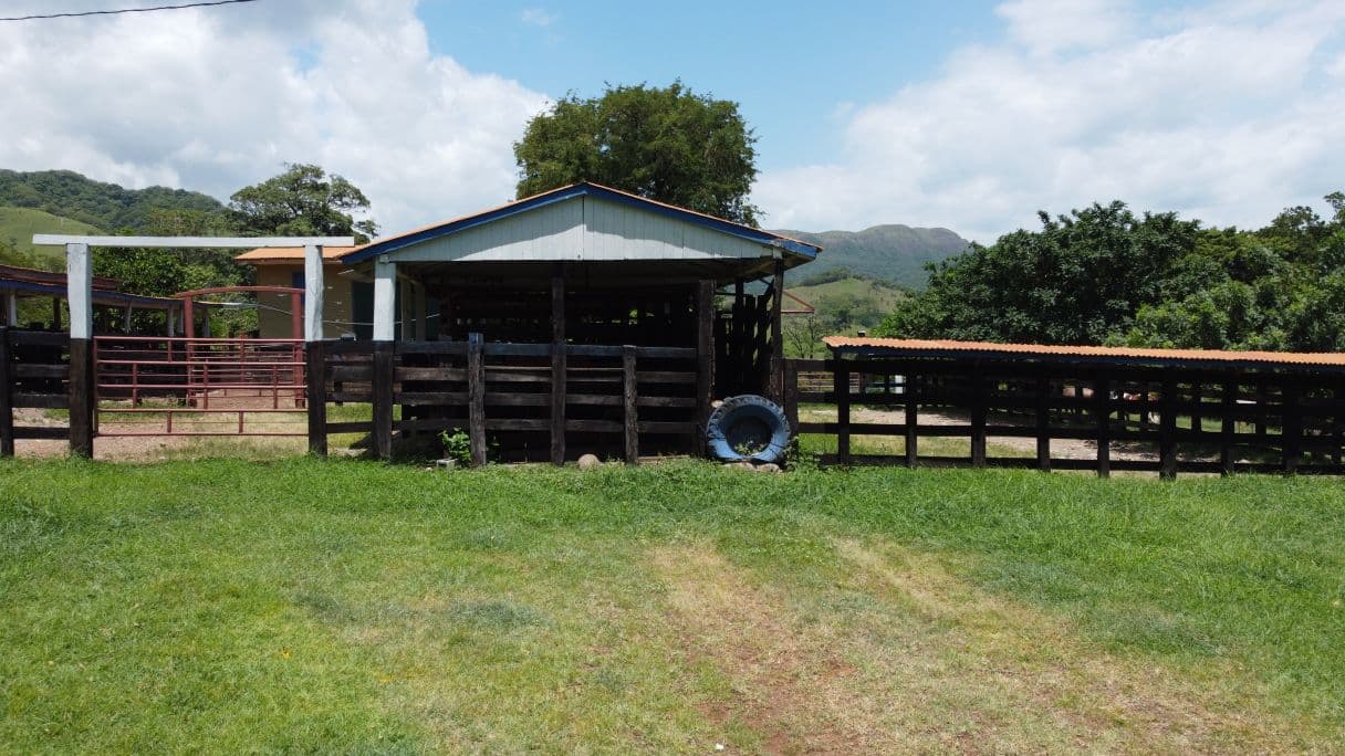 166-Hectare Cattle Ranch with Abundant Water and Complete Infrastructure in Cañas, Guanacaste – Investment Opportunity, photo 21