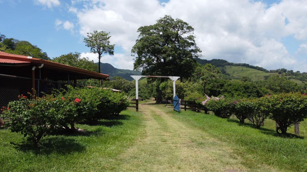 166-Hectare Cattle Ranch with Abundant Water and Complete Infrastructure in Cañas, Guanacaste – Investment Opportunity, photo 22