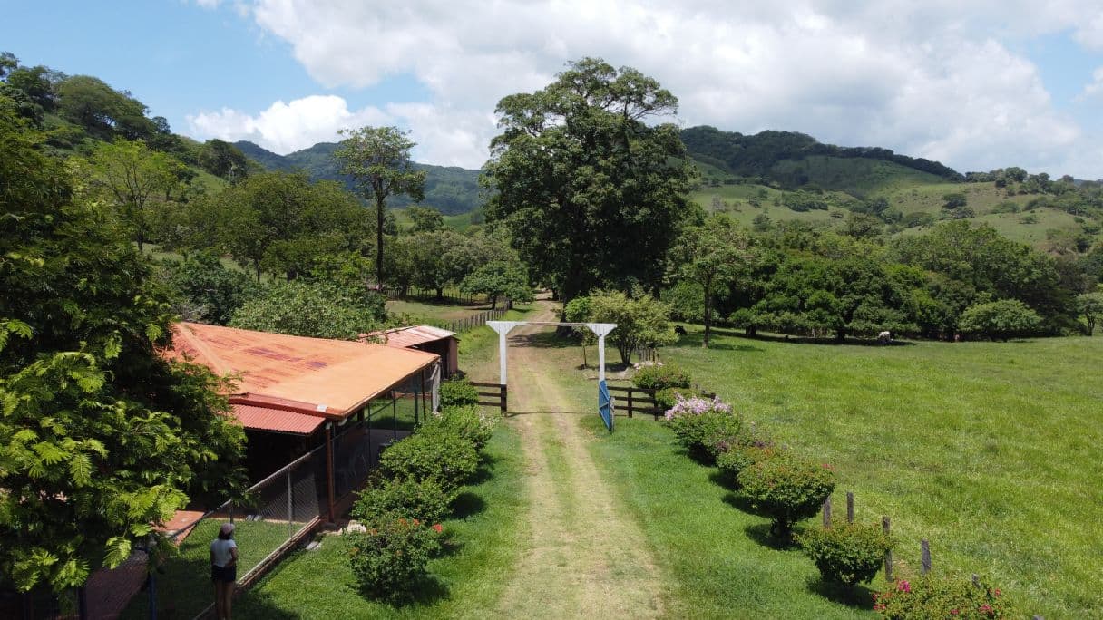 166-Hectare Cattle Ranch with Abundant Water and Complete Infrastructure in Cañas, Guanacaste – Investment Opportunity, photo 23