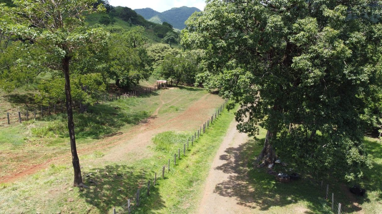 166-Hectare Cattle Ranch with Abundant Water and Complete Infrastructure in Cañas, Guanacaste – Investment Opportunity, photo 26