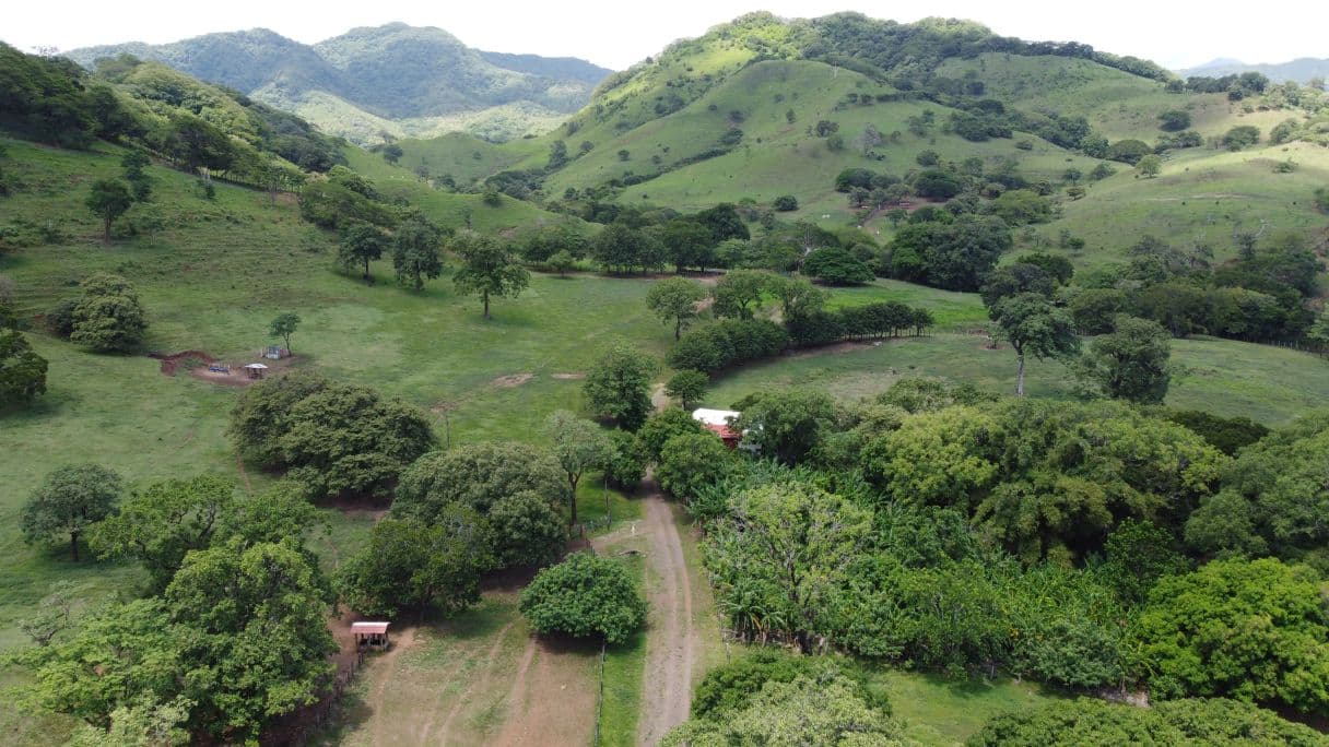 166-Hectare Cattle Ranch with Abundant Water and Complete Infrastructure in Cañas, Guanacaste – Investment Opportunity, photo 27