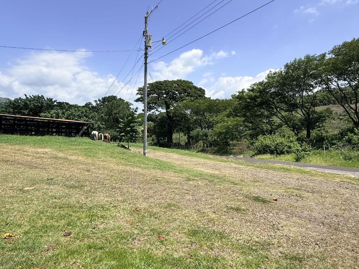 166-Hectare Cattle Ranch with Abundant Water and Complete Infrastructure in Cañas, Guanacaste – Investment Opportunity, photo 9