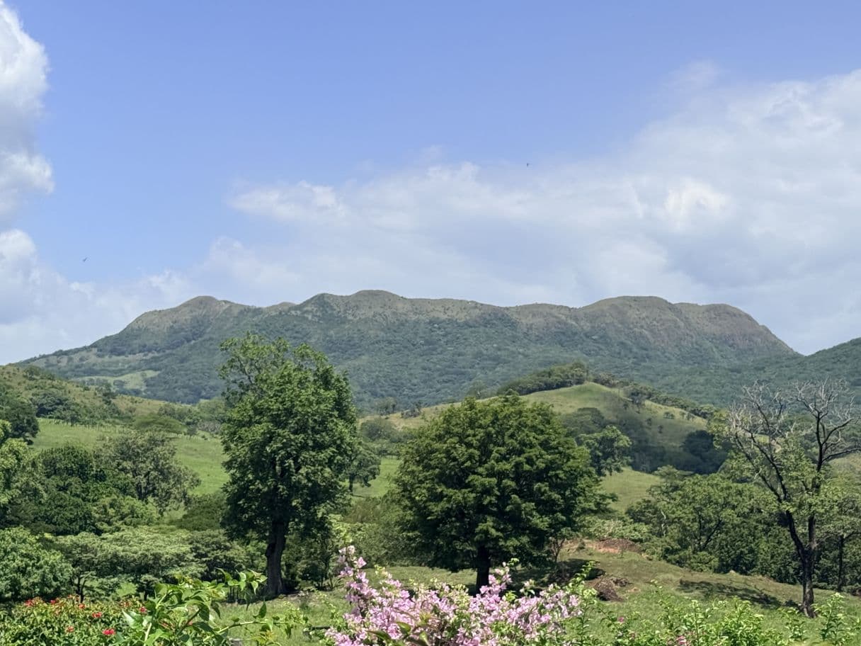 166-Hectare Cattle Ranch with Abundant Water and Complete Infrastructure in Cañas, Guanacaste – Investment Opportunity, photo 8