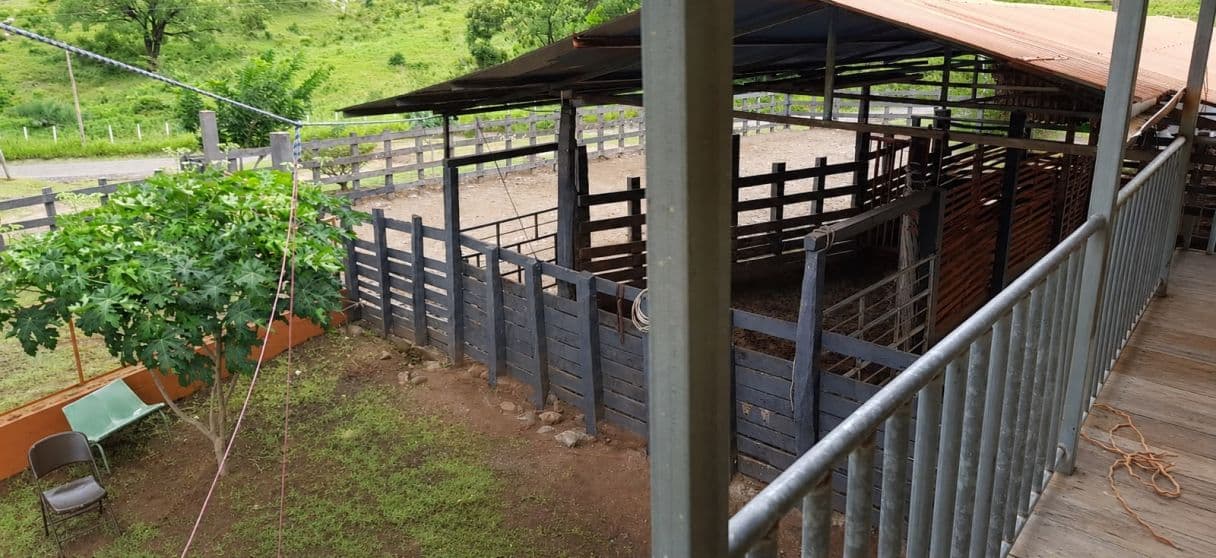 166-Hectare Cattle Ranch with Abundant Water and Complete Infrastructure in Cañas, Guanacaste – Investment Opportunity, photo 4