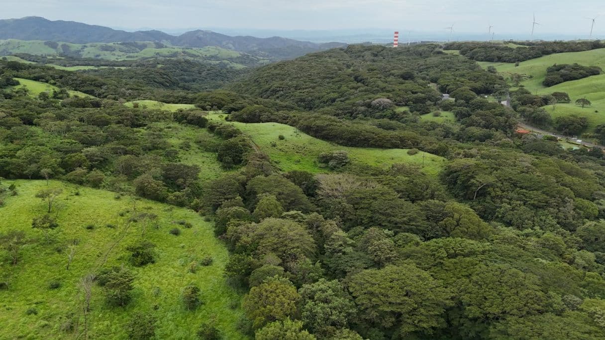 185.93-HECTARE INVESTMENT PROPERTY IN TILARÁN, GUANACASTE, photo 33