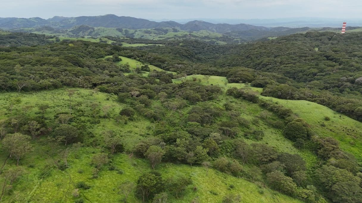 185.93-HECTARE INVESTMENT PROPERTY IN TILARÁN, GUANACASTE, photo 13