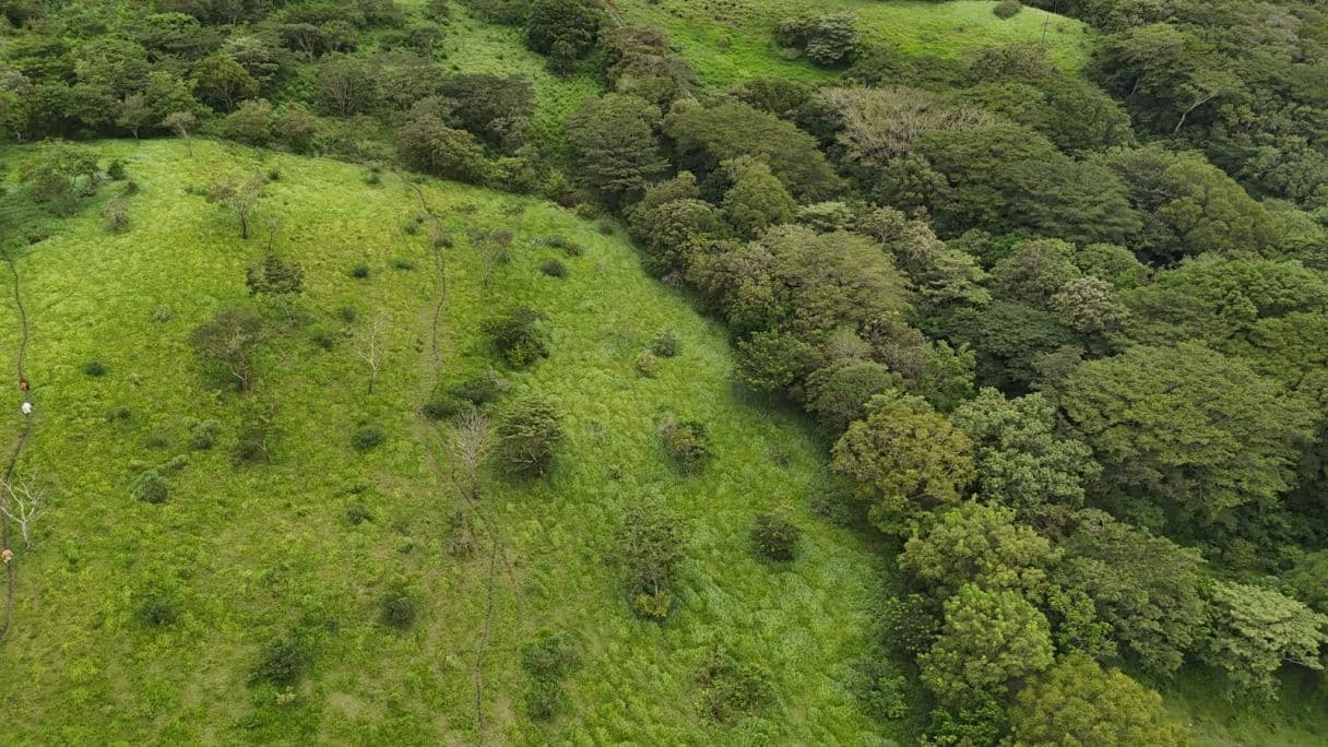 185.93-HECTARE INVESTMENT PROPERTY IN TILARÁN, GUANACASTE, photo 18