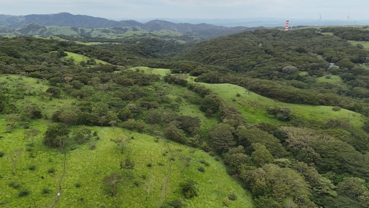 185.93-HECTARE INVESTMENT PROPERTY IN TILARÁN, GUANACASTE, photo 20