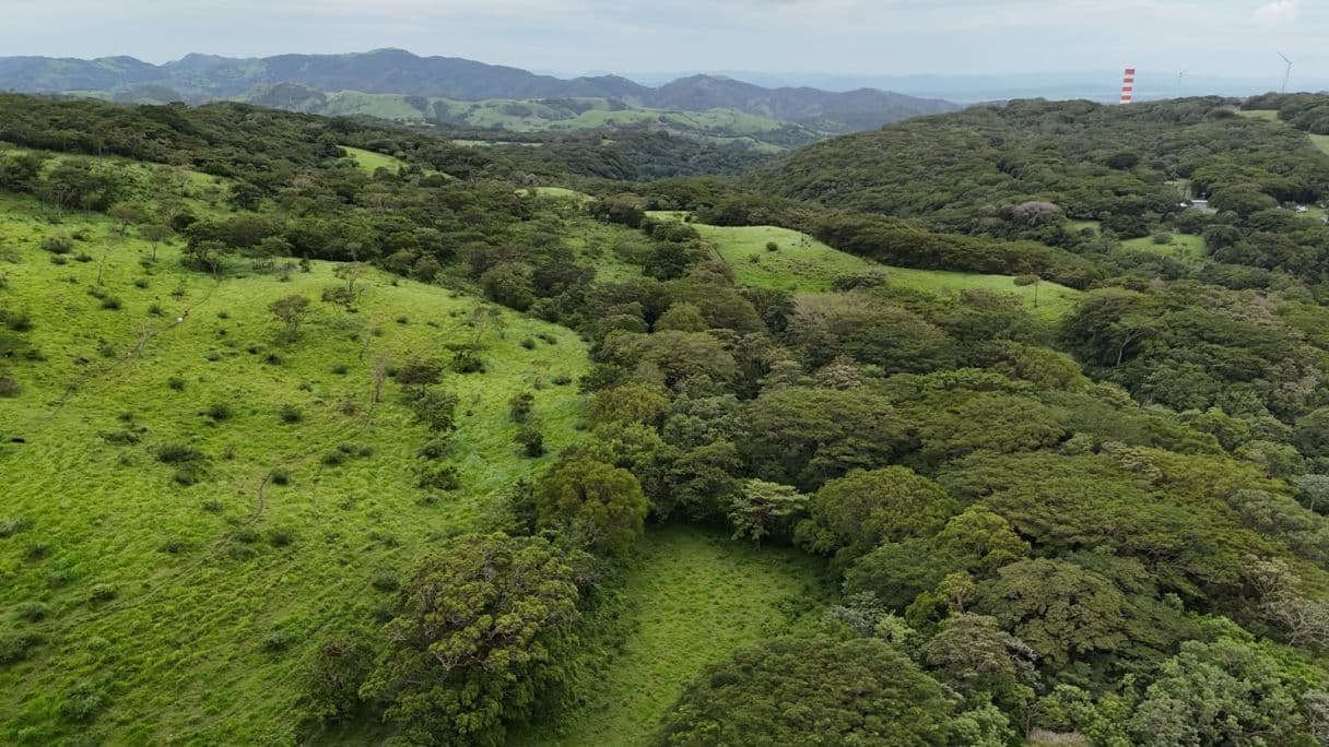 185.93-HECTARE INVESTMENT PROPERTY IN TILARÁN, GUANACASTE, photo 27