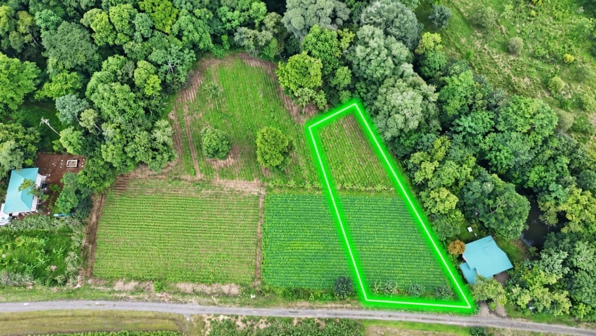 Strategic 5000m2 Lot and High-Yield Opportunity 5 minutes from La Fortuna, photo 8
