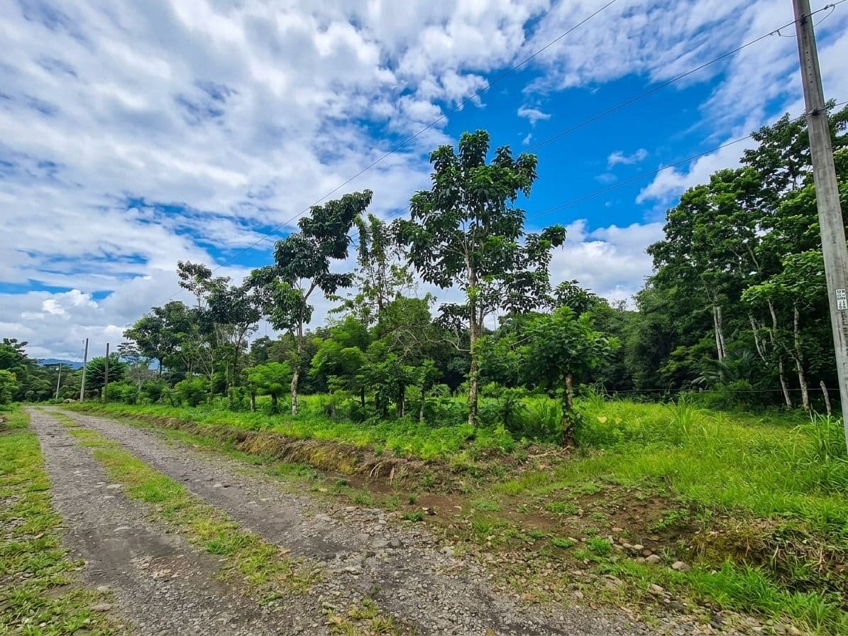 Strategic 5000m2 Lot and High-Yield Opportunity 5 minutes from La Fortuna, photo 2