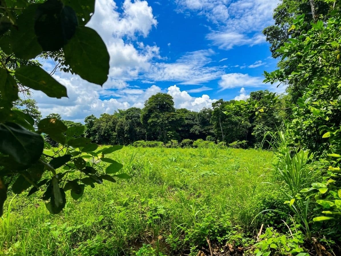 Strategic 5000m2 Lot and High-Yield Opportunity 5 minutes from La Fortuna, photo 3