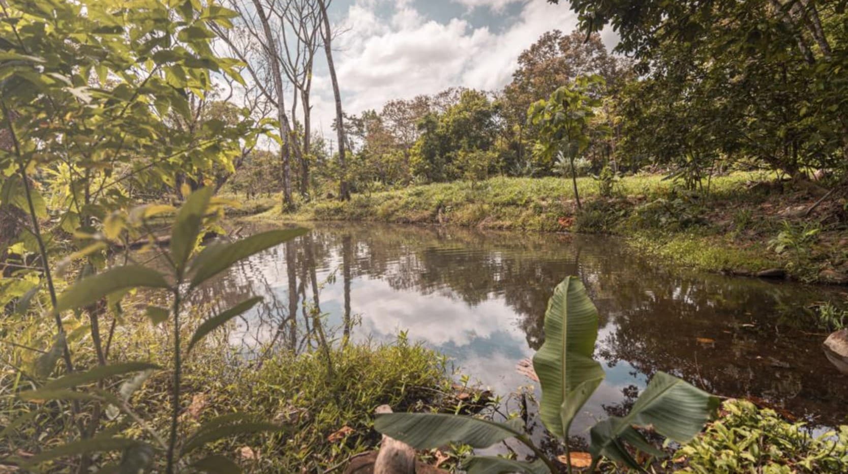 Huge 6 acre Property in San Carlos, perfect for Farm or Project, REDUCED PRICE!