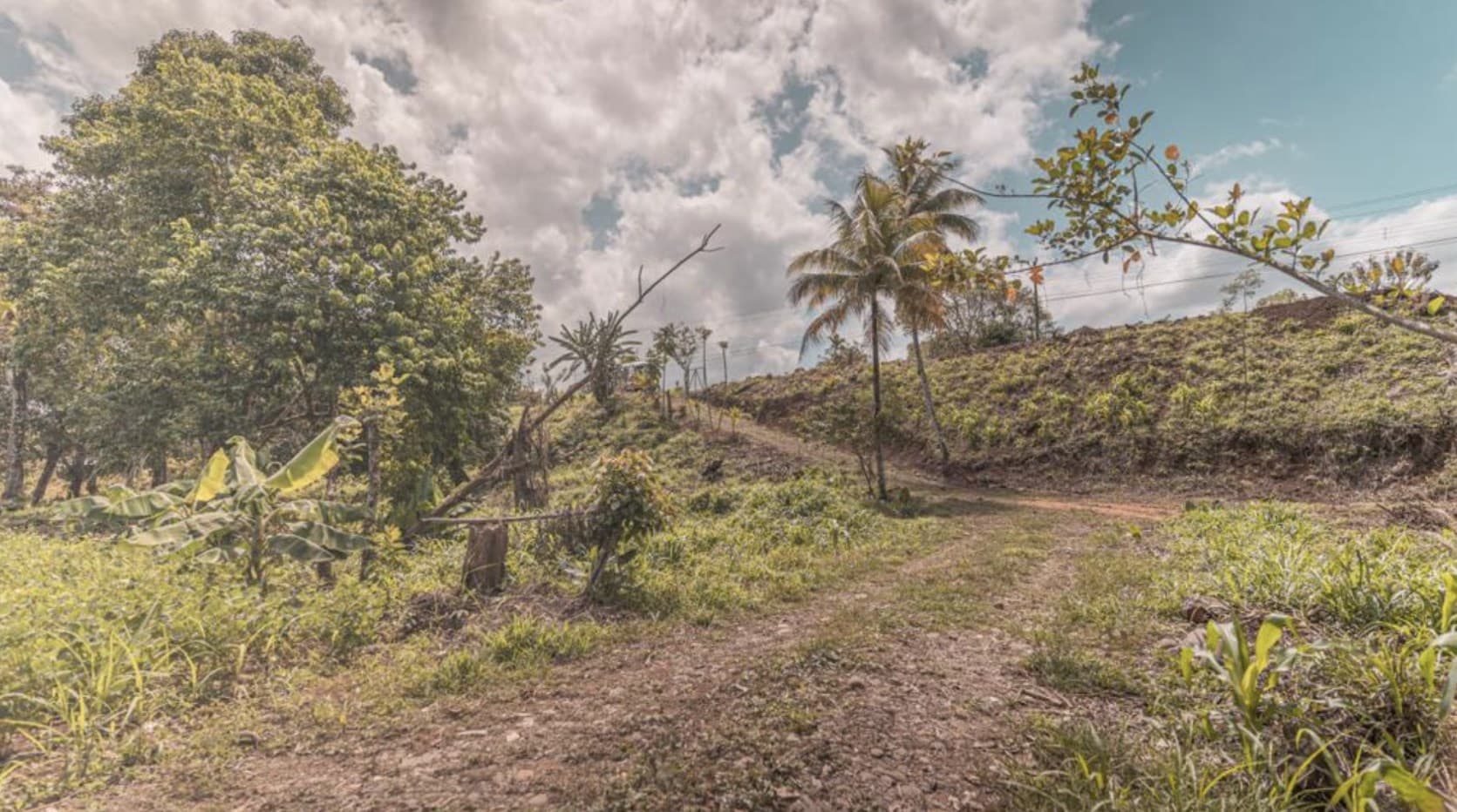 Huge 6 acre Property in San Carlos, perfect for Farm or Project, REDUCED PRICE!, photo 4