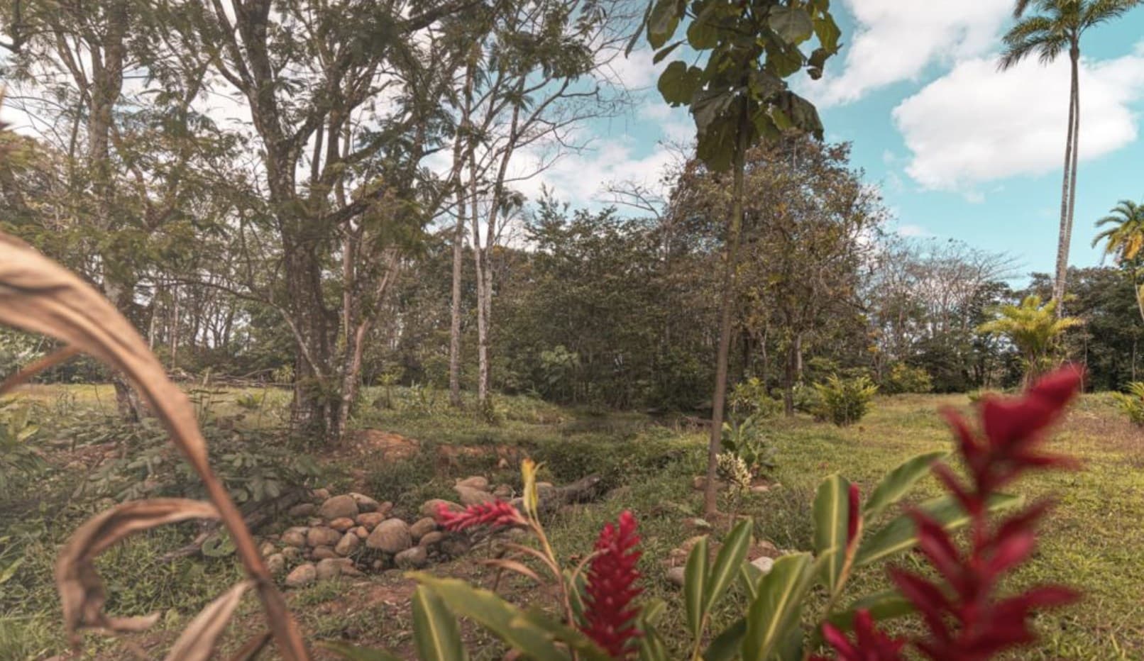 Huge 6 acre Property in San Carlos, perfect for Farm or Project, REDUCED PRICE!, photo 3