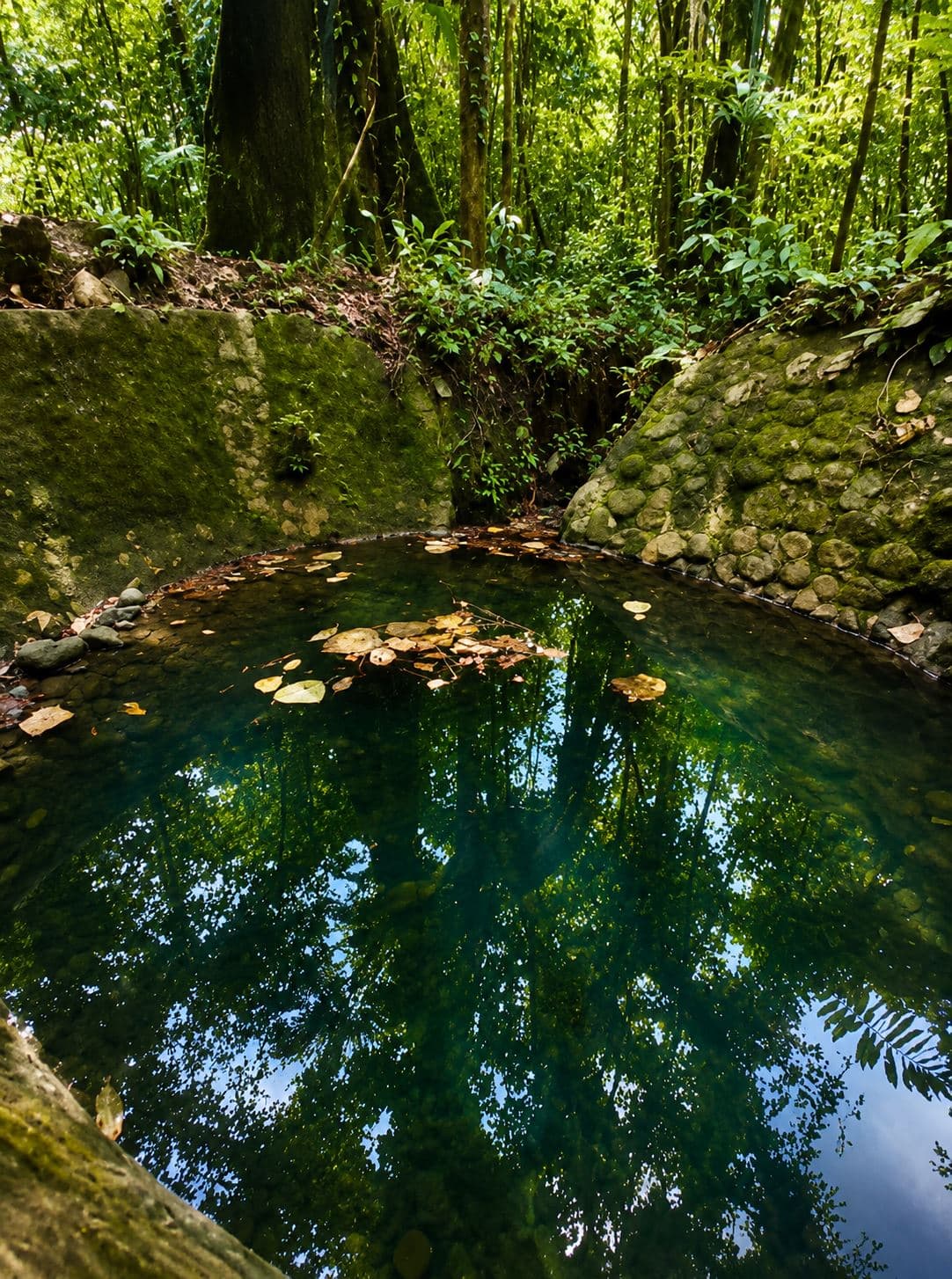 Rare 58-Hectare Conservation & ESG Investment Property with Waterfalls, Thermal Springs, Hydraulic Power and Eco-Lodge Near La Fortuna, photo 6