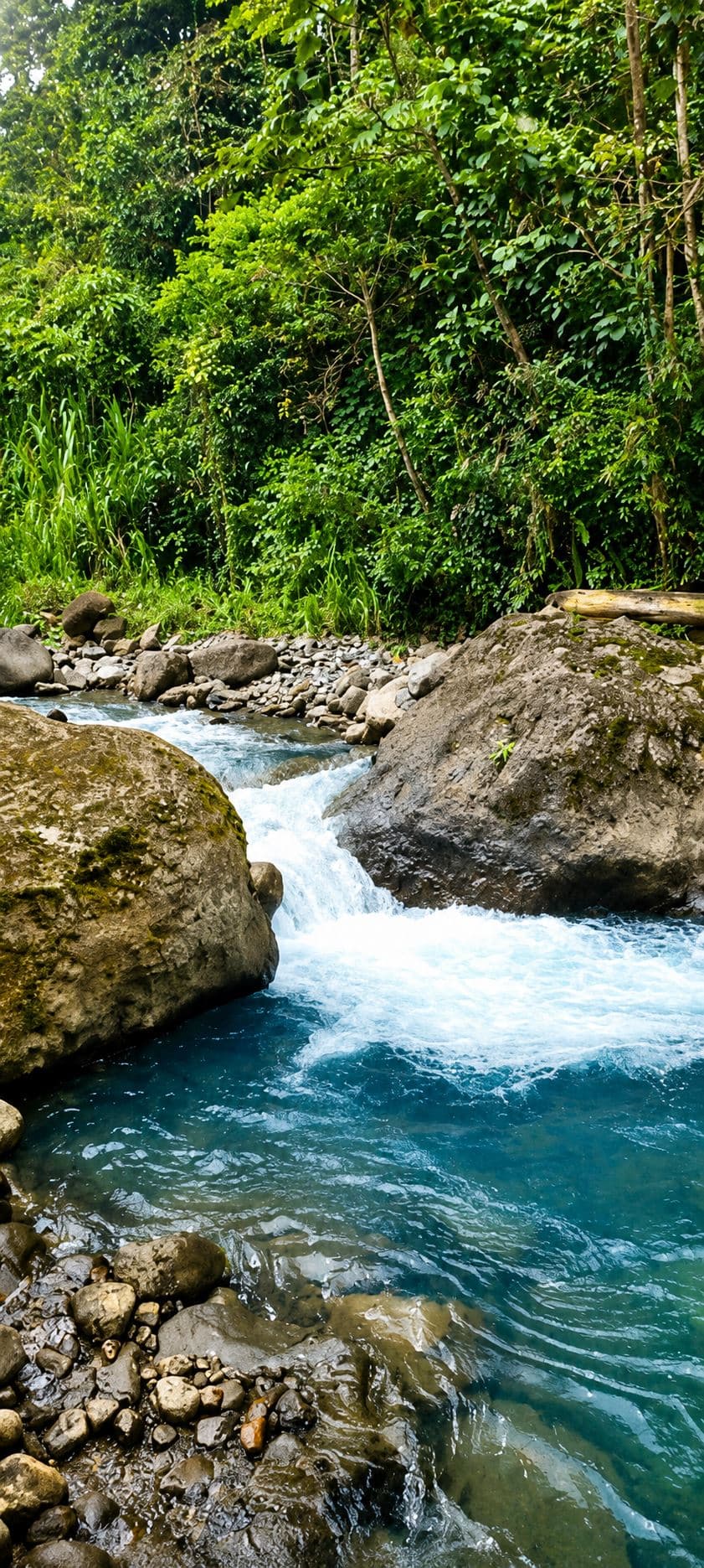 Rare 58-Hectare Conservation & ESG Investment Property with Waterfalls, Thermal Springs, Hydraulic Power and Eco-Lodge Near La Fortuna, photo 11