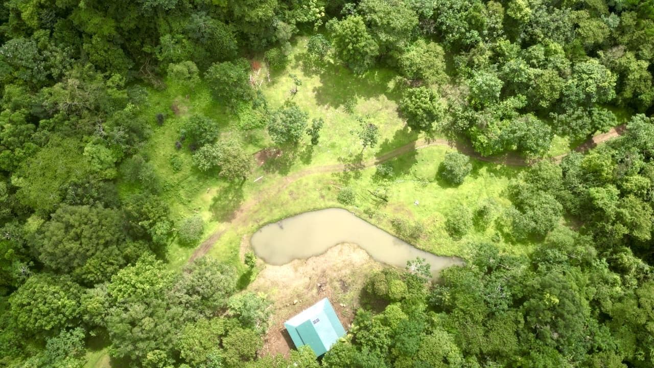 Rare 58-Hectare Conservation & ESG Investment Property with Waterfalls, Thermal Springs, Hydraulic Power and Eco-Lodge Near La Fortuna, photo 12