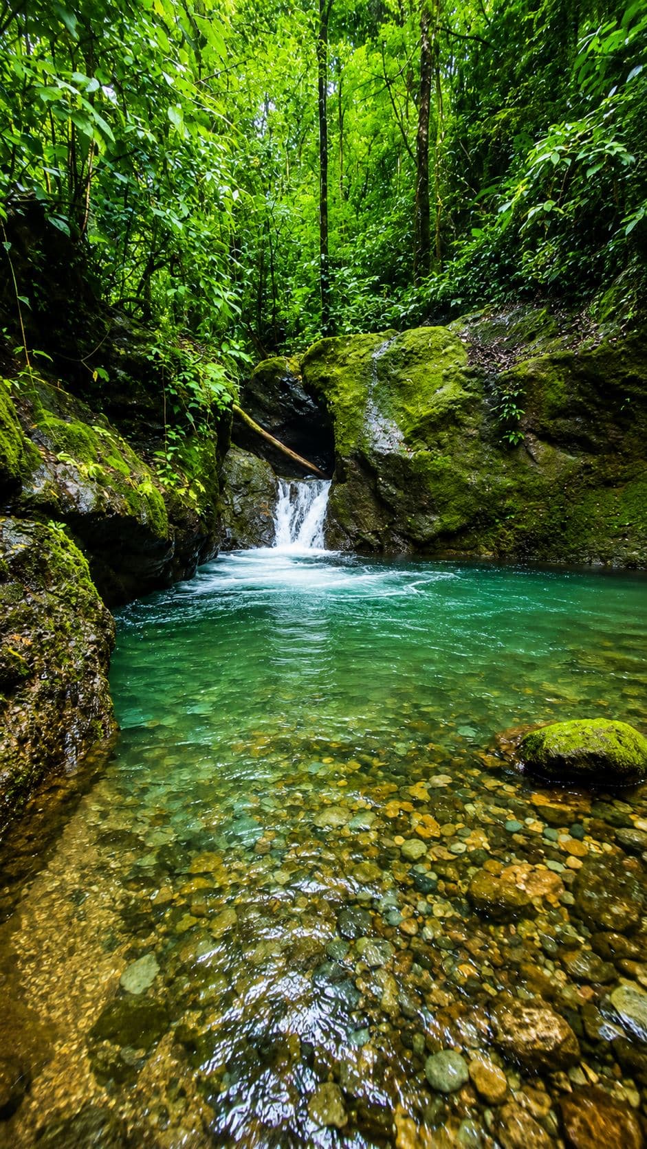Rare 58-Hectare Conservation & ESG Investment Property with Waterfalls, Thermal Springs, Hydraulic Power and Eco-Lodge Near La Fortuna