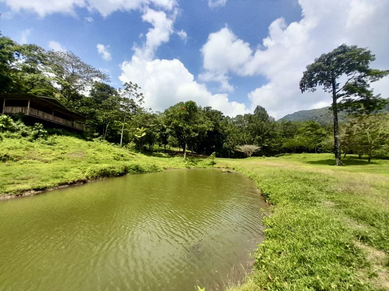 Rare 58-Hectare Conservation & ESG Investment Property with Waterfalls, Thermal Springs, Hydraulic Power and Eco-Lodge Near La Fortuna, photo 10