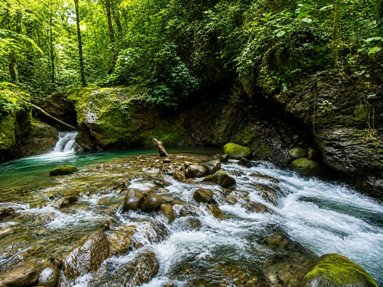 Rare 58-Hectare Conservation & ESG Investment Property with Waterfalls, Thermal Springs, Hydraulic Power and Eco-Lodge Near La Fortuna, photo 3