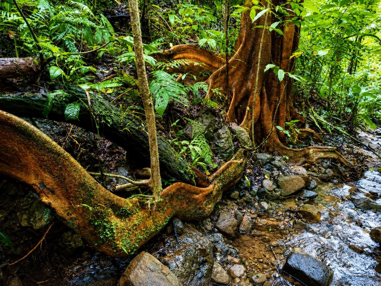 Rare 58-Hectare Conservation & ESG Investment Property with Waterfalls, Thermal Springs, Hydraulic Power and Eco-Lodge Near La Fortuna, photo 4
