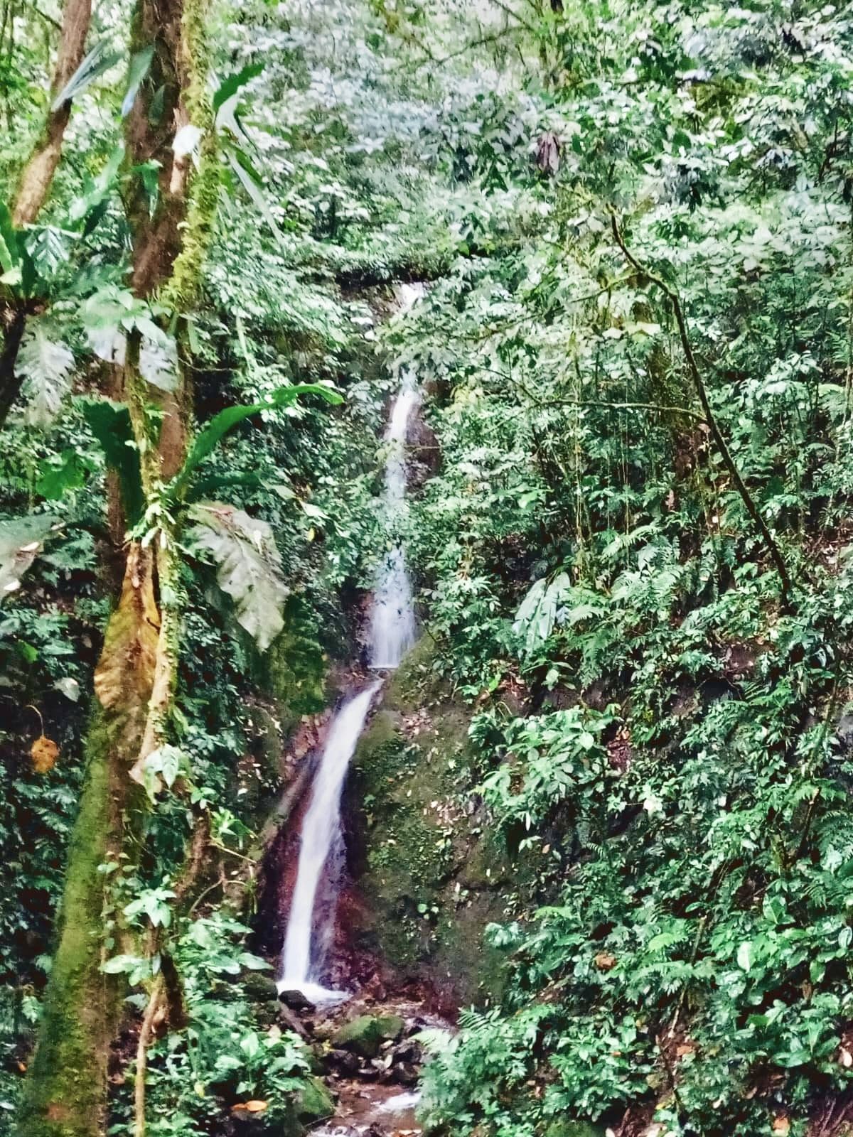 Rare 58-Hectare Conservation & ESG Investment Property with Waterfalls, Thermal Springs, Hydraulic Power and Eco-Lodge Near La Fortuna, photo 13
