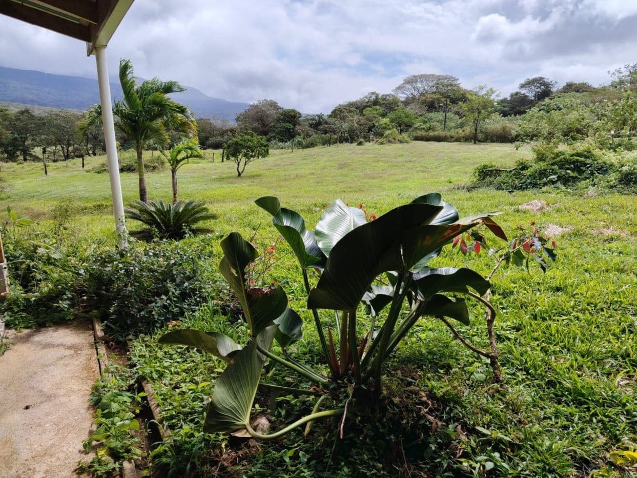 REDUCED PRICE! 5447 m² Property for Sale Near Tenorio Volcano, Costa Rica – Exceptional Investment Opportunity For sale in Costa Rica
