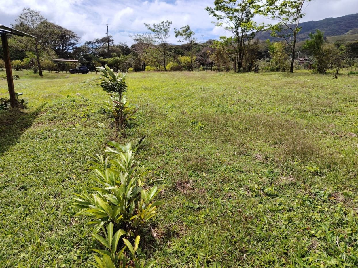 REDUCED PRICE! 5447 m² Property for Sale Near Tenorio Volcano, Costa Rica – Exceptional Investment Opportunity For sale in Costa Rica, photo 11