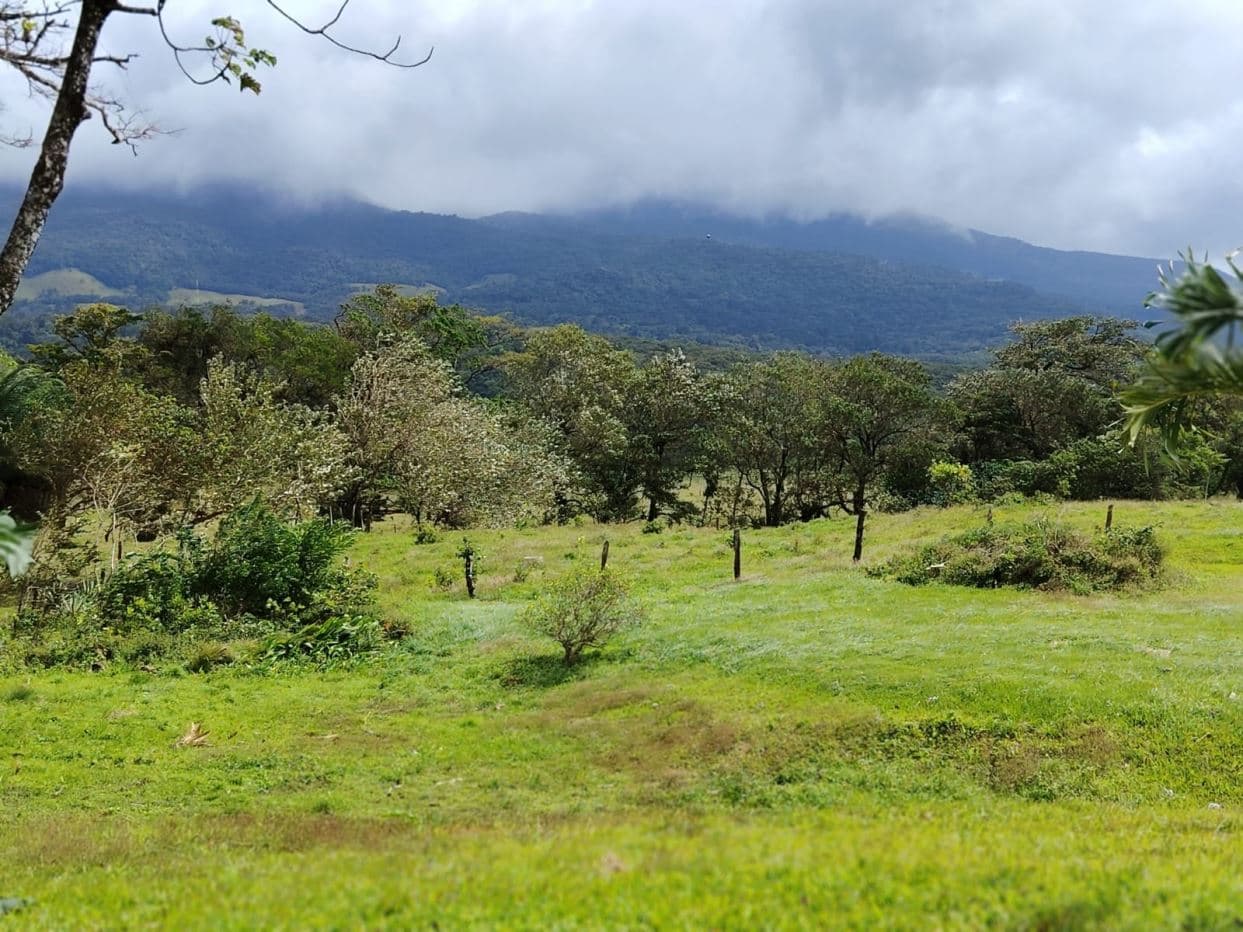REDUCED PRICE! 5447 m² Property for Sale Near Tenorio Volcano, Costa Rica – Exceptional Investment Opportunity For sale in Costa Rica, photo 15