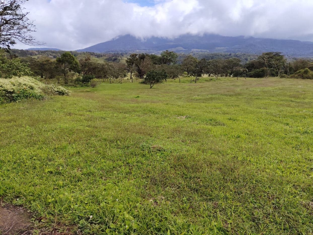 REDUCED PRICE! 5447 m² Property for Sale Near Tenorio Volcano, Costa Rica – Exceptional Investment Opportunity For sale in Costa Rica, photo 7