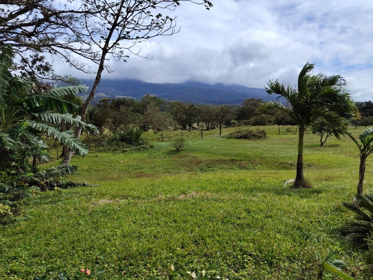 REDUCED PRICE! 5447 m² Property for Sale Near Tenorio Volcano, Costa Rica – Exceptional Investment Opportunity For sale in Costa Rica, photo 8